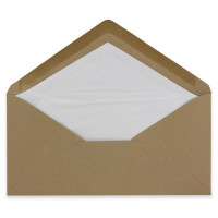 250 x DIN Lang Briefumschläge - Kraftpapier sandbraun mit naturweißem Seidenfutter - 11x22 cm - 120 g/m² - ideal für Einladungen, Weihnachtskarten, Glückwunschkarten aus der Serie Farbenfroh