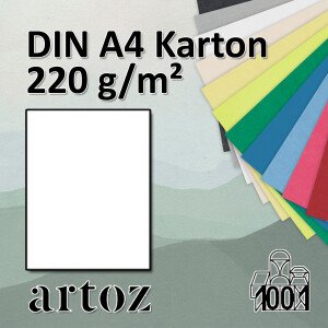 ARTOZ Serie 1001 - DIN A4 Karton mit Egoutteur-Rippung -...