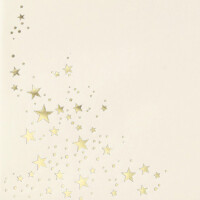 15x Weihnachts-Briefumschläge - DIN C5 - mit Gold-Metallic geprägtem Sternenregen, festlich matter Umschlag in creme - Nassklebung, 110 g/m² - 162 x 229 mm - Marke: GUSTAV NEUSER