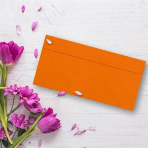 100 Brief-Umschläge DIN Lang - Orange - 110 g/m² - 11 x 22 cm - sehr formstabil - Haftklebung - Qualitätsmarke: FarbenFroh by GUSTAV NEUSER