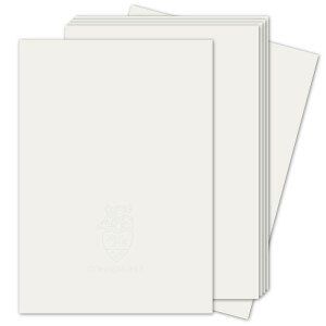 100 SETS - ZANDERS GOHRSMÜHLE Papier, Weiß Matt DIN A4 + Umschläge DIN Lang gefüttert - für hochwertige Dokumente