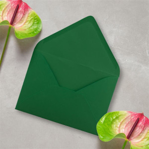 Briefumschläge in Dunkelgrün - 100 Stück - DIN C5 Kuverts 22,0 x 15,4 cm - Nassklebung ohne Fenster - Weihnachten, Grußkarten - Serie FarbenFroh