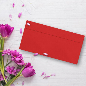 100 Brief-Umschläge DIN Lang - leuchtendes Rot - 110 g/m² - 11 x 22 cm - sehr formstabil - Haftklebung - Qualitätsmarke: FarbenFroh by GUSTAV NEUSER