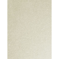 50x Artoz Perle - DIN A4 Bogen 120 g/m² - Ivory-Elfenbein - glänzendes Papier