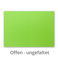 100 Faltkarten B6 - Hell-Grün - PREMIUM QUALITÄT - 11,5 x 17 cm - sehr formstabil - für Drucker geeignet! - Qualitätsmarke: NEUSER FarbenFroh!!