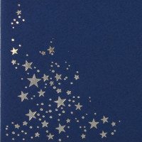 25x Weihnachts-Briefumschläge - DIN C5 - mit Silber-Metallic geprägtem Sternenregen, festlich matter Umschlag in dunkelblau - Nassklebung, 110 g/m² - 154 x 220 mm - Marke: GUSTAV NEUSER