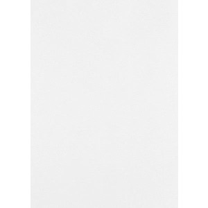 50x Artoz Perle - DIN A4 Bogen 120 g/m² - Weiss - glänzendes Papier