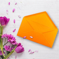 100 Brief-Umschläge Orange DIN Lang - 110 x 220 mm (11 x 22 cm) - Nassklebung ohne Fenster - Ideal für Einladungs-Karten - Serie FarbenFroh