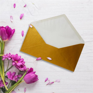 100 Brief-Umschläge Gold Metallic DIN Lang - 110 x 220 mm (11 x 22 cm) - Nassklebung ohne Fenster - Ideal für Einladungs-Karten - Serie FarbenFroh