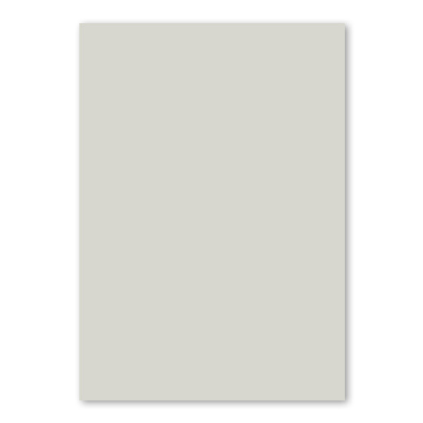 50x DIN A4 Papier - Hellgrau (Grau) - 110 g/m² - 21 x 29,7 cm - Briefpapier Bastelpapier Tonpapier Briefbogen - FarbenFroh by GUSTAV NEUSER