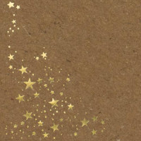 50x Weihnachts-Briefumschläge - DIN C5 - mit Gold-Metallic geprägtem Sternenregen, festlich matter Umschlag in Sandbraun - Nassklebung, 120 g/m² - 157x 225 mm - Marke: GUSTAV NEUSER