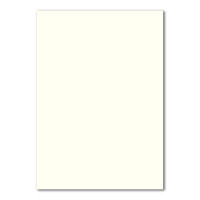 100 DIN A4 Papierbogen Planobogen - Naturweiß (Wei&szl