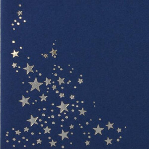 50x Weihnachts-Briefumschläge - DIN C5 - mit Silber-Metallic geprägtem Sternenregen, festlich matter Umschlag in dunkelblau - Nassklebung, 110 g/m² - 154 x 220 mm - Marke: GUSTAV NEUSER