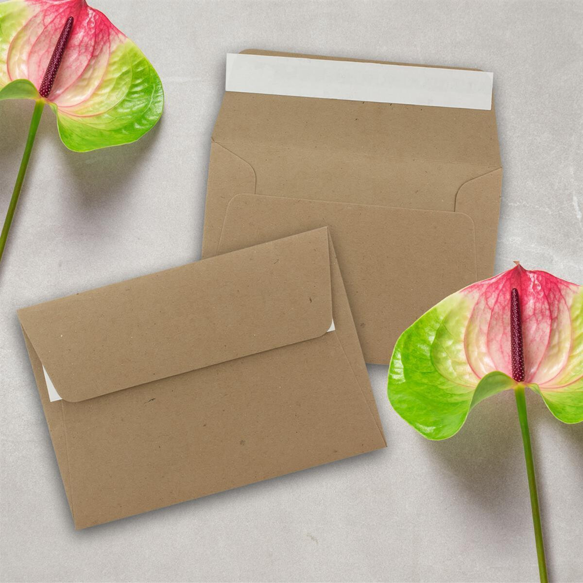 FRIUSATE 200 Stück Samenumschläge Aus Kraftpapier 6x8 Cm - Selbstklebend Für Saatgut, Münzen & Notizen