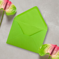 Briefumschläge in Hellgrün - 50 Stück - DIN C5 Kuverts 22,0 x 15,4 cm - Nassklebung ohne Fenster - Weihnachten, Grußkarten - Serie FarbenFroh
