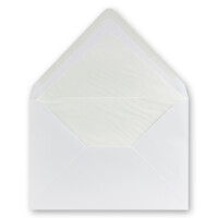 300 Brief-Umschläge Polarweiß - DIN C5 - gefüttert - 100 g/m² - 16,2 x 22,9 cm - Nassklebung mit Spitz-Klappe - hochwertige Kuverts - von GUSTAV NEUSER