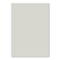 250x DIN A4 Papier - Hellgrau (Grau) - 110 g/m² - 21 x 29,7 cm - Briefpapier Bastelpapier Tonpapier Briefbogen - FarbenFroh by GUSTAV NEUSER