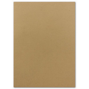 500x DIN A4 Papier - Sandbraun (Kraftpapier Braun) - 110 g/m² - 21 x 29,7 cm - Ton-Papier Fotokarton Bastel-Papier Ton-Karton - FarbenFroh