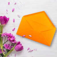 200 Brief-Umschläge Orange DIN Lang - 110 x 220 mm (11 x 22 cm) - Nassklebung ohne Fenster - Ideal für Einladungs-Karten - Serie FarbenFroh