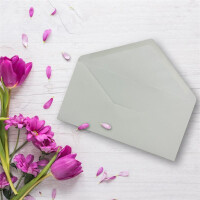 200 Brief-Umschläge Hell-Grau DIN Lang - 110 x 220 mm (11 x 22 cm) - Nassklebung ohne Fenster - Ideal für Einladungs-Karten - Serie FarbenFroh