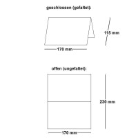 75 Faltkarten B6 - Hellgrau - PREMIUM QUALITÄT - 11,5 x 17 cm - sehr formstabil - für Drucker geeignet! - Qualitätsmarke: NEUSER FarbenFroh