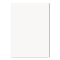 40 Stück DIN A4 Karten Planobogen - Farbe: Hochweiss - 29,7 x 21 cm - 250 Gramm pro m² - Bastelbogen - Kartenkarton - Bastelkarte -formstabil