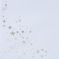 200x Weihnachts-Briefumschläge - DIN C5 - mit Silber-Metallic geprägtem Sternenregen, festlich matter Umschlag in weiß - Nassklebung, 90 g/m² - 162 x 229 mm - Marke: GUSTAV NEUSER