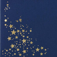 200x Briefumschläge mit Metallic Sternen - DIN Lang - Gold geprägter Sternenregen - Farbe: dunkelblau, Nassklebung, 120 g/m² - 110 x 220 mm - ideal für Weihnachten