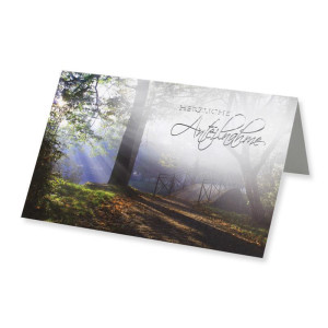 10 Trauerkarte "Waldbrücke" mit Text -Herzliche Anteilnahme- in Silberfolie - DIN B6 11,5 x 17 cm - weiss - mit passenden Umschlägen - Gustav Neuser
