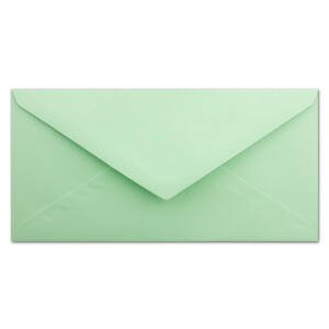 100 Brief-Umschläge Mintgrün DIN Lang - 110 x 220 mm (11 x 22 cm) - Nassklebung ohne Fenster - Ideal für Einladungs-Karten - Serie FarbenFroh