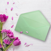 100 Brief-Umschläge Mintgrün DIN Lang - 110 x 220 mm (11 x 22 cm) - Nassklebung ohne Fenster - Ideal für Einladungs-Karten - Serie FarbenFroh
