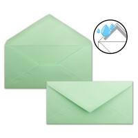 75 Brief-Umschläge Mintgrün DIN Lang - 110 x 220 mm (11 x 22 cm) - Nassklebung ohne Fenster - Ideal für Einladungs-Karten - Serie FarbenFroh