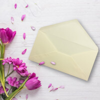 100 Brief-Umschläge Vanille DIN Lang - 110 x 220 mm (11 x 22 cm) - Nassklebung ohne Fenster - Ideal für Einladungs-Karten - Serie FarbenFroh