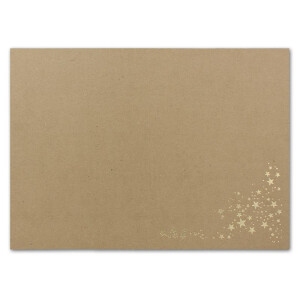 Faltkarten DIN B6 - Sandbraun-Kraftpapier mit goldenen Metallic Sternen - 100 Stück - 11,5 x 17 cm - blanko für Drucker geeignet Ideal für Weihnachtskarten - Marke: NEUSER FarbenFroh