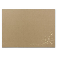 Faltkarten DIN B6 - Sandbraun-Kraftpapier mit goldenen Metallic Sternen - 100 Stück - 11,5 x 17 cm - blanko für Drucker geeignet Ideal für Weihnachtskarten - Marke: NEUSER FarbenFroh