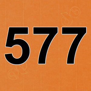 ARTOZ 25x Tischkarten - Orange (Orange) - 45 x 100 mm blanko Platz-Kärtchen - Faltkarten für festliche Tafel - Tischdekoration - 220 g/m² gerippt