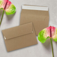 300x Briefumschläge Sandbraun DIN C6 Format 11,4 x 16,2 cm - Haftklebung - Kuverts ohne Fenster - Weihnachten, Gutscheine, Grußkarten & Einladungen
