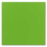 Quadratisches Einzelkarten-Set - 15 x 15 cm - mit Brief-Umschlägen - Hellgrün - 75 Stück - für Grußkarten & mehr - FarbenFroh by GUSTAV NEUSER