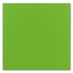 50 Einzel-Karten Quadratisch - 15 x 15 cm in Hellgrün (Grün) - 240 g/m² - blanko Bastel-Karten, Postkarten, Bastelkarton in Ton-Papier Qualität