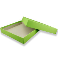 200 Geschenkschachtel Quadratisch - Hellgrün mit Deckel - Innen-Maße: 24x24x4 cm - Geschenkbox,Aufbewahrungsbox,Fotobox,Archivschachtel,Dokumentenbox