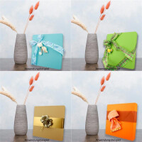 5 Geschenkschachtel Quadratisch - bunt verschiedene Farben - Innen-Maße: 24x24x4 cm - Geschenkbox,Aufbewahrungsbox,Fotobox,Archivschachtel,Dokumentenbox