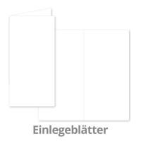 25x Faltkarten SET mit Brief-Umschlägen und Einlege-Blätter - Hellgrau (Grau) - DIN Lang - 10,5 x 21 cm - FarbenFroh by GUSTAV NEUSER