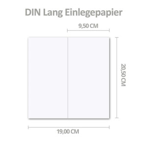 100x faltbares Einlege-Papier für DIN Lang Doppelkarten - hochweiß - 205 x 190 mm (205 x 95 mm gefaltet) - ideal zum Bedrucken mit Tinte und Laser - hochwertig mattes Papier von GUSTAV NEUSER