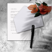 25x Briefpapier Set DIN A4 mit DIN Lang Briefumschlägen, Nassklebung - Weiß - mattes Schreibpapier mit Kuverts - FarbenFroh by GUSTAV NEUSER