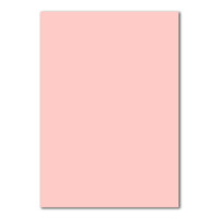 300x Briefpapier Set DIN A4 mit DIN Lang Briefumschlägen, Nassklebung - Rosa - mattes Schreibpapier mit Kuverts - FarbenFroh by GUSTAV NEUSER