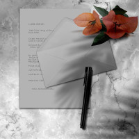 100x Briefpapier Set DIN A4 mit DIN Lang Briefumschlägen, Nassklebung - Hellgrau - mattes Schreibpapier mit Kuverts - FarbenFroh by GUSTAV NEUSER