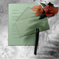 300x Briefpapier Set DIN A4 mit DIN Lang Briefumschlägen, Nassklebung - Eukalyptus-Grün - mattes Schreibpapier mit Kuverts - FarbenFroh by GUSTAV NEUSER