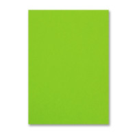 25x Einzelkarten-Set DIN A5 14,8 x 21 cm in Hellgrün (Grün) mit Briefumschlägen DIN C5 Haftklebung - für große Einladungen und Karten zum Geburtstag oder Hochzeit