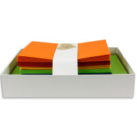100x Farbige Karten blanko mit passendem Umschlag und Einlegeblätter in Weiß in DIN A6/ DIN C6 - kräftige Fraben ideal für Einladungen und Geschenke