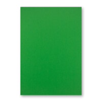50x DIN A4 Papier - Grün - 110 g/m² - 21 x 29,7 cm - Briefpapier Bastelpapier Tonpapier Briefbogen - FarbenFroh by GUSTAV NEUSER